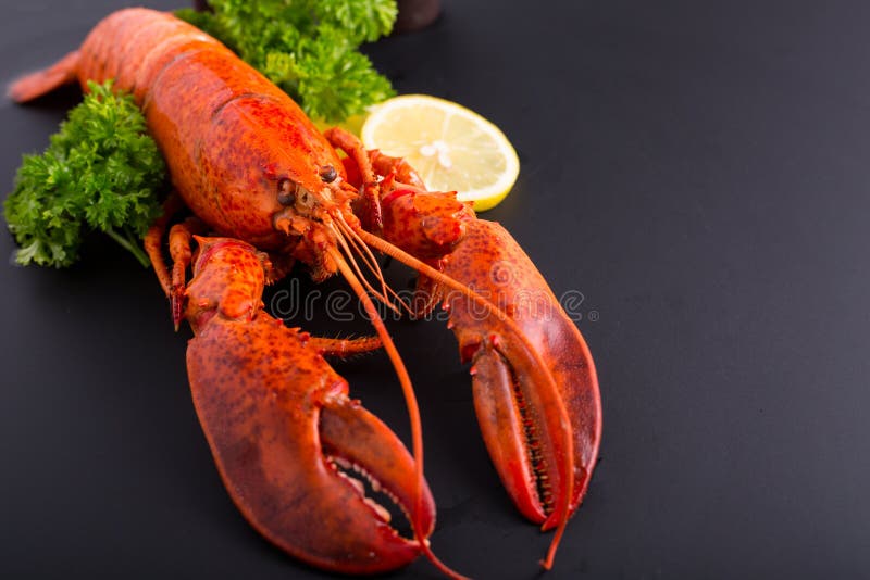 Nourriture canadienne de homard images libres de droits Nourriture canadienne de homard images libres de droits