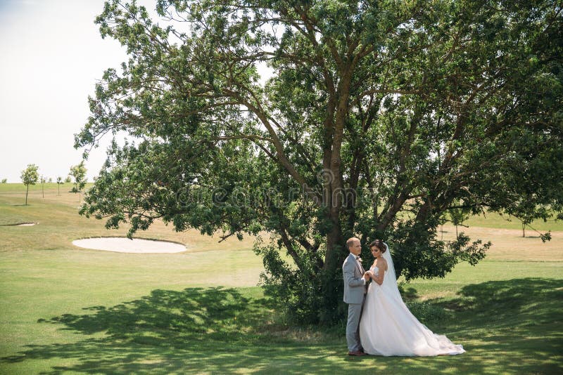 Nouveaux mariés sur un fond vert d'arbre dans un club de golf un jour du mariage Le marié dans un costume est gris et la jeune ma photos stock Nouveaux mariés sur un fond vert d'arbre dans un club de golf un jour du mariage Le marié dans un costume est gris et la jeune ma photos stock