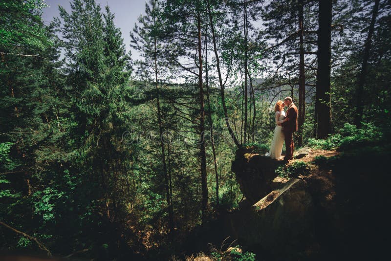 Nouveaux mariés élégants heureux de couples dans la forêt verte le jour d'été. La mariée dans la longue robe blanche et le marié e photos stock