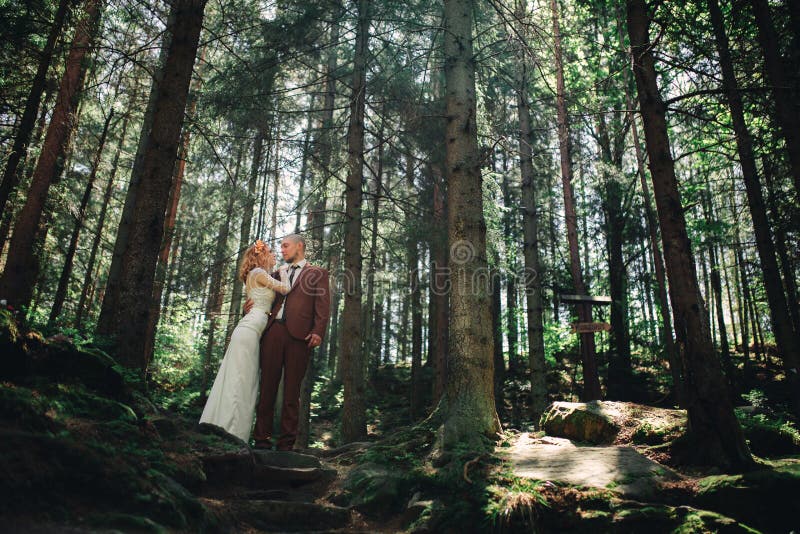 Nouveaux mariés élégants heureux de couples dans la forêt verte le jour d'été. La mariée dans la longue robe blanche et le marié e photos libres de droits