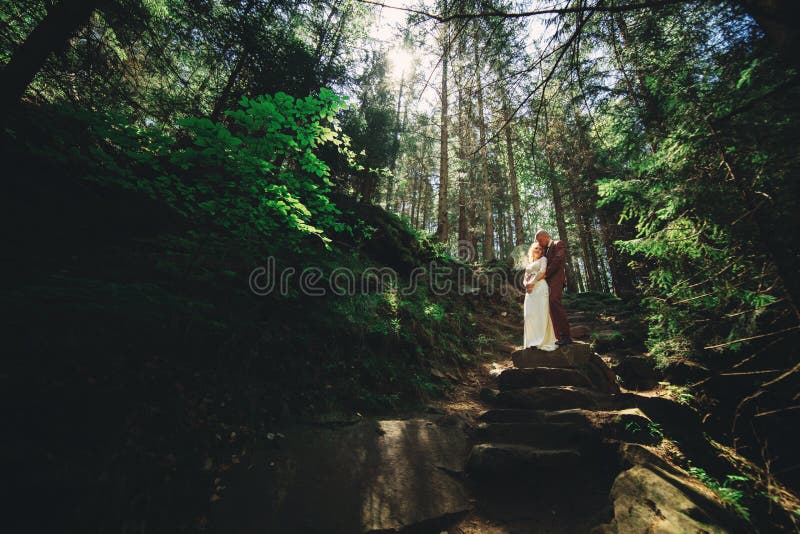 Nouveaux mariés élégants heureux de couples dans la forêt verte le jour d'été. La mariée dans la longue robe blanche et le marié e images libres de droits