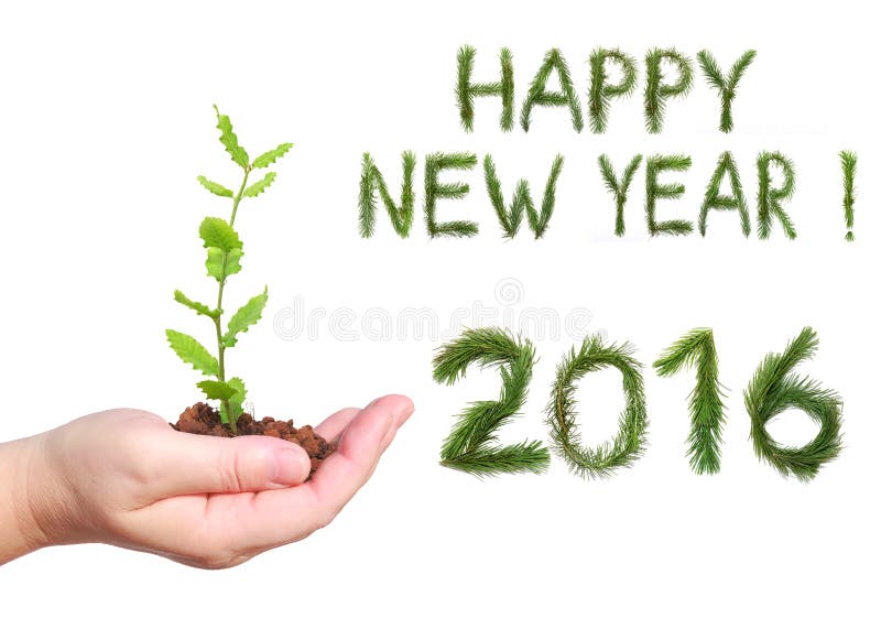 Woman hand, holding a seedling and number two thousand sixteen - New year 2016 and words of congratulation Happy New Year. All numbers and words are made of a pine tree branches. Woman hand, holding a seedling and number two thousand sixteen - New year 2016 and words of congratulation Happy New Year. All numbers and words are made of a pine tree branches