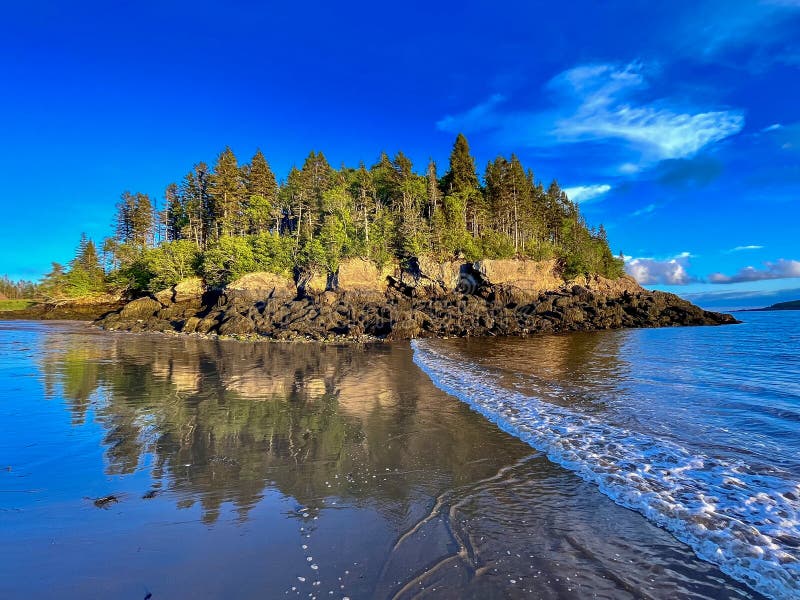 Nova Praia Fluvial Na Baía Do Fundy No Canadá Com Terreno