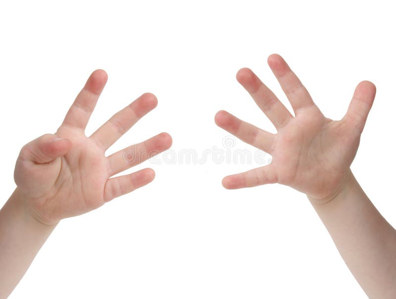 Nove dedos