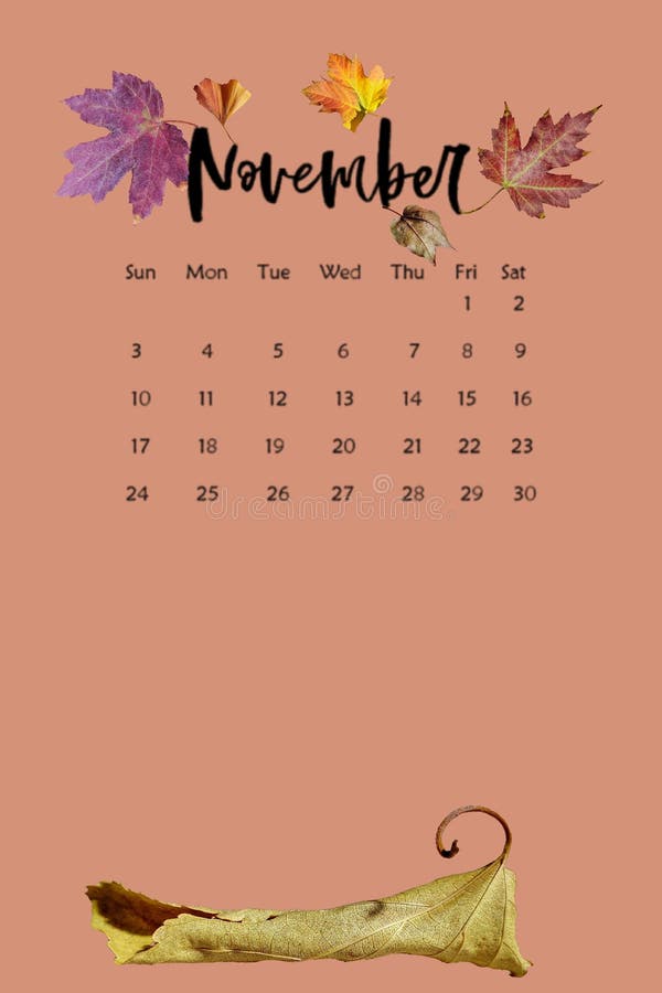 2019 November Calendar with Autumn Leaves on Color Background Stock