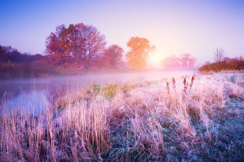 November landscape. Autumn morning with colorful trees and hoarfrost on the ground.