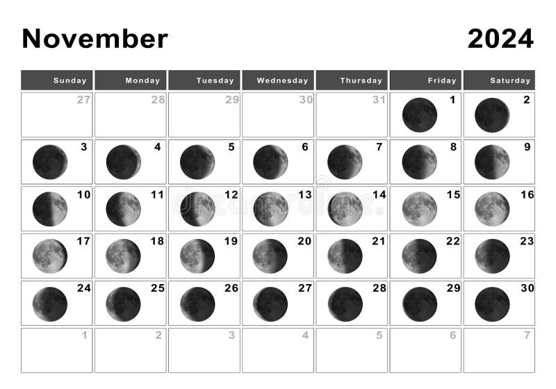 November 2024 Lunar Calendar, Moon Cycles Stock Illustration