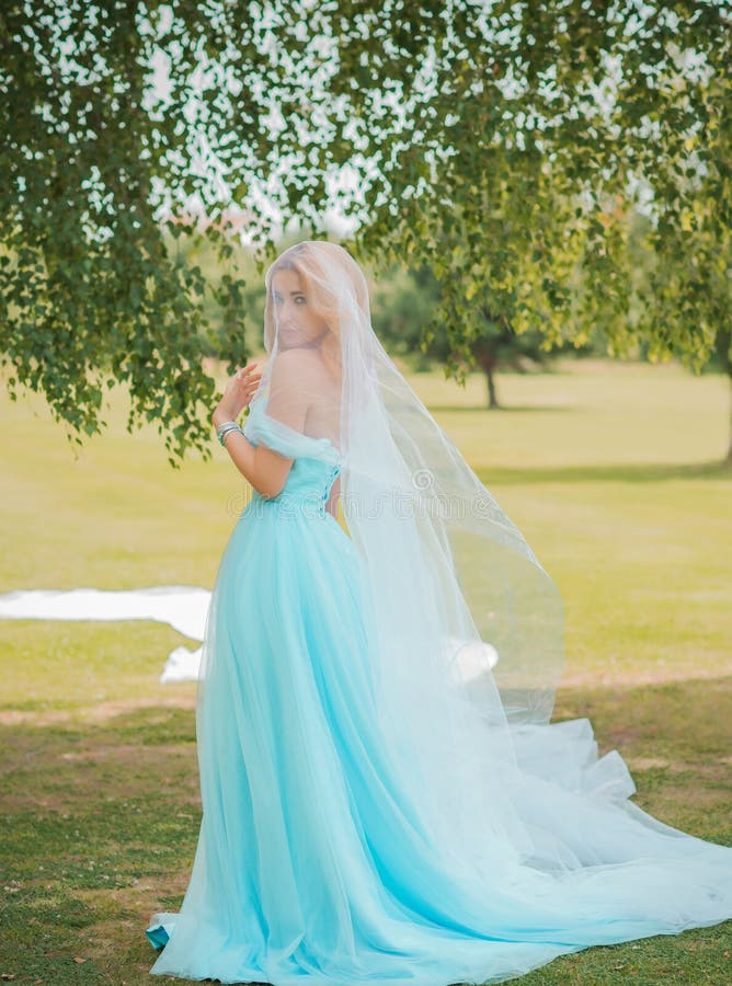 Novia Con Vestido Azul En Parque Imagen de - Imagen de europeo, estilo: 223011637