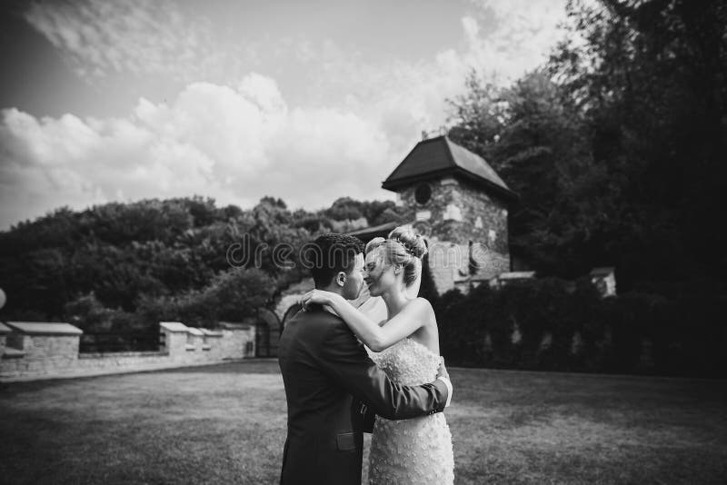 Novia elegante y novio que abrazan suavemente durante matrimonio cerca de casarse el pasillo de pétalos color de rosa Pares hermo foto de archivo libre de regalías Novia elegante y novio que abrazan suavemente durante matrimonio cerca de casarse el pasillo de pétalos color de rosa Pares hermo foto de archivo libre de regalías