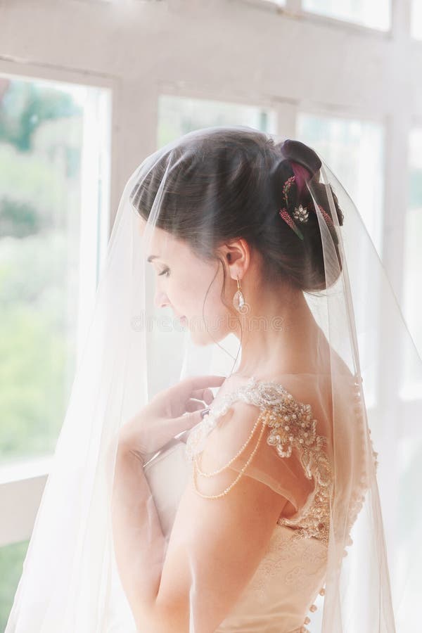 Novia joven hermosa con maquillaje de la boda y peinado en dormitorio Retrato hermoso de la novia con velo sobre su cara Portr de imagen de archivo Novia joven hermosa con maquillaje de la boda y peinado en dormitorio Retrato hermoso de la novia con velo sobre su cara Portr de imagen de archivo