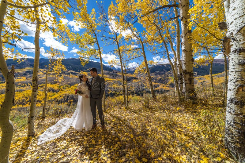 Novia vietnamita asiática con su novio en los árboles amarillos del álamo temblón del otoño de Colorado imagenes de archivo Novia vietnamita asiática con su novio en los árboles amarillos del álamo temblón del otoño de Colorado imagenes de archivo