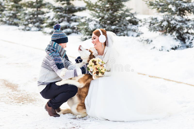 Novia y novio con los perros esquimales del perro en invierno fotografía de archivo libre de regalías Novia y novio con los perros esquimales del perro en invierno fotografía de archivo libre de regalías