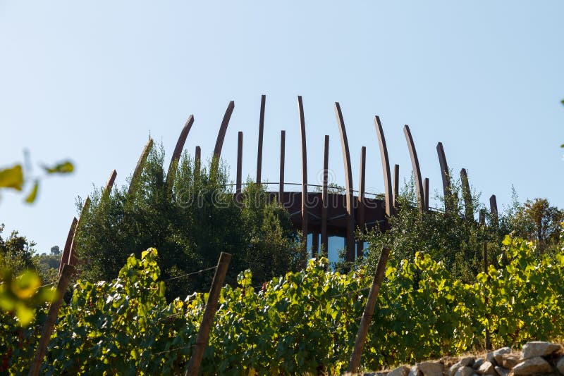 Nowoczesna architektura winnicy Vina Lapostolle Dolina Colchagua Chile zdjęcia stock