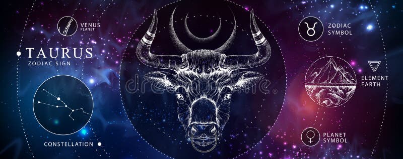 Nowoczesna magiczna karta z astrologicznym znakiem taurus zodiac. głowa byka rysującego. charakterystyka zodiaku