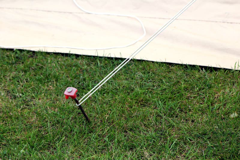 Modern steel and plastic tent peg hammered into the grass attached to a guy rope. Modern steel and plastic tent peg hammered into the grass attached to a guy rope.