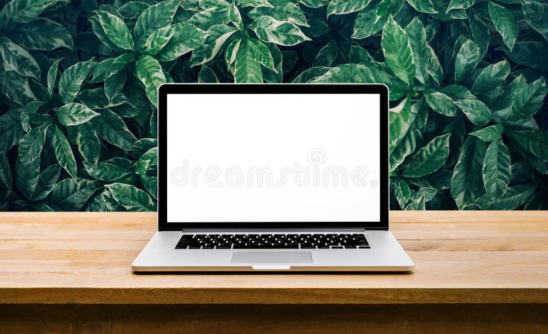 Nowożytny komputer, laptop z pustym ekranem na stole z zielonym liściem fotografia stock
