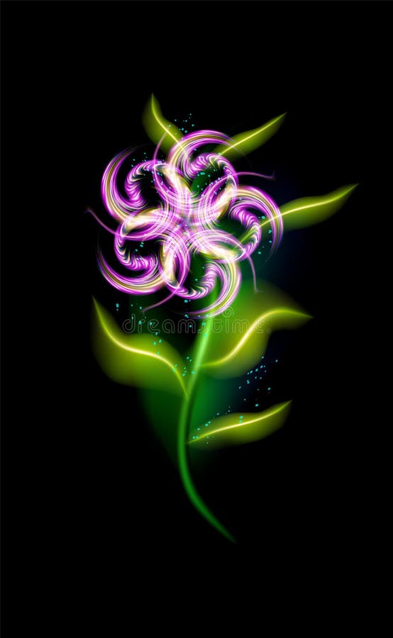Nowożytny rozjarzony purpura kwiat Kolorowy ornamentacyjny kwiecisty fiołkowy element w czarnym tle Piękny purplish iluminujący ilustracji Nowożytny rozjarzony purpura kwiat Kolorowy ornamentacyjny kwiecisty fiołkowy element w czarnym tle Piękny purplish iluminujący ilustracji