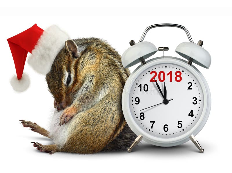 2018 nowy rok pojęcie, śmieszny Chipmunk w czerwonym Santa kapeluszu z zegarem zdjęcie royalty free 2018 nowy rok pojęcie, śmieszny Chipmunk w czerwonym Santa kapeluszu z zegarem zdjęcie royalty free