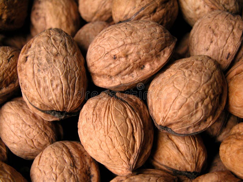 Download Nozes imagem de stock. Imagem de fruta, alimento, nozes - 56173