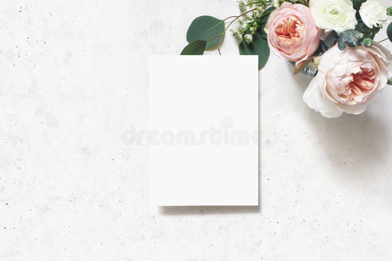 Nozze femminili, scena del modello di compleanno Cartolina d'auguri della carta in bianco Il mazzo di arrossisce rose inglesi ros