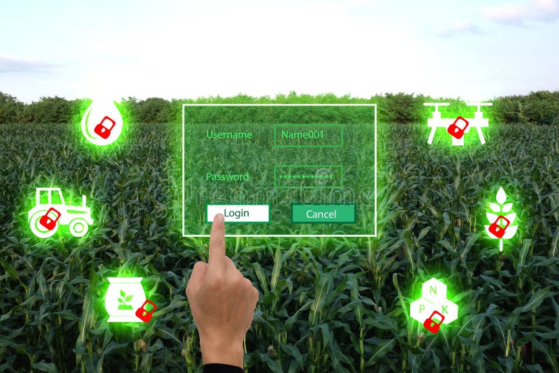 Nternet of thingsagriculture concept,smart farming,industrial agriculture. Farmer use the finger unlock the key and access to the stock photography