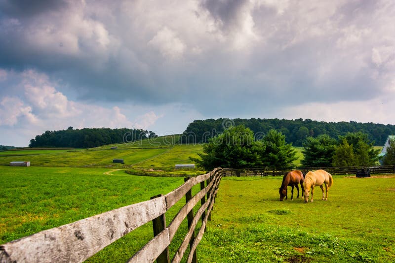 Nuages foncés au-dessus des chevaux et d'une barrière à une ferme à York rural Coun photographie stock Nuages foncés au-dessus des chevaux et d'une barrière à une ferme à York rural Coun photographie stock