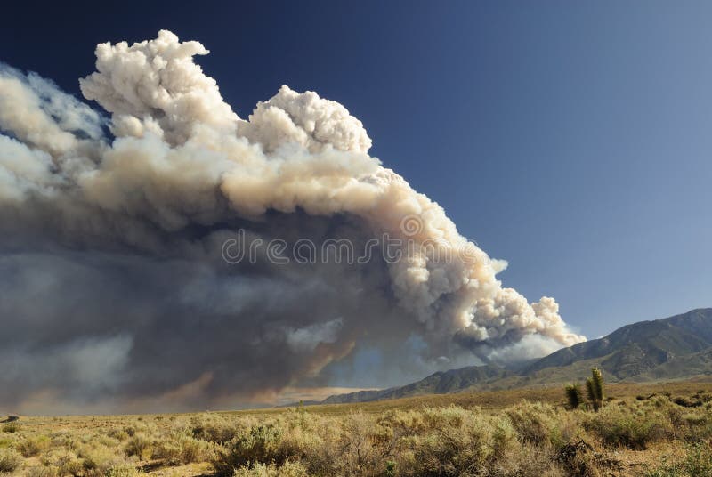 Nube del humo de un reguero de pólvora de California