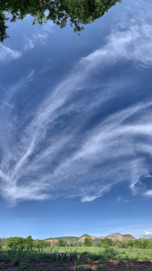Nubes Brillantes Y Cielos Azules 16 9 Fondo De Pantalla Vertical Imagen de archivo - Imagen de vertical, wallpapers: 184972171 Nubes Brillantes Y Cielos Azules 16 9 Fondo De Pantalla Vertical Imagen de archivo - Imagen de vertical, wallpapers: 184972171
