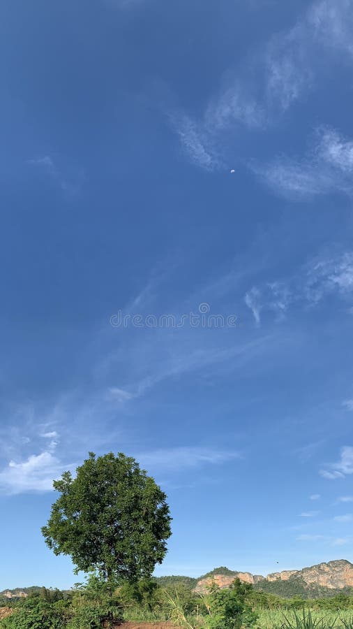 Nubes Brillantes Y Cielos Azules 9 16 Fondo De Pantalla Vertical Imagen de  archivo - Imagen de cielo, cielos: 186215425