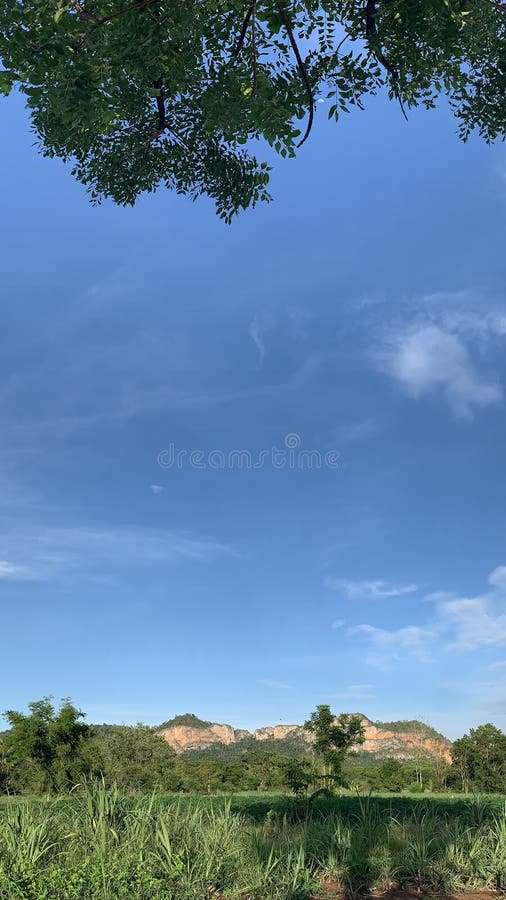 Nubes Brillantes Y Cielos Azules 9 16 Fondo De Pantalla Vertical Imagen de  archivo - Imagen de azul, vertical: 186215455