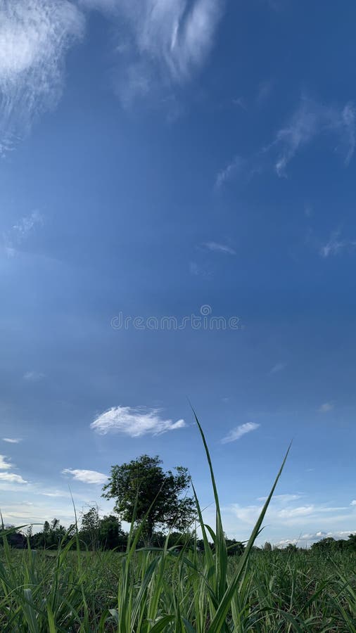 Nubes Brillantes Y Cielos Azules 9 16 Fondo De Pantalla Vertical Imagen de  archivo - Imagen de cielo, cubo: 186215287