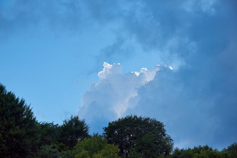 Nubes del discurso teniendo en cuenta el sol sobre el bosque foto de archivo Nubes del discurso teniendo en cuenta el sol sobre el bosque foto de archivo