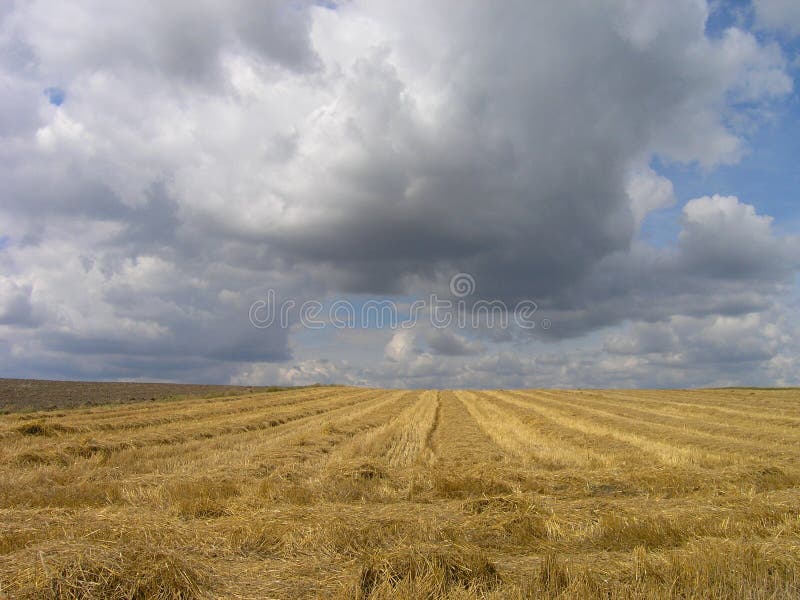 Nubi di estate fotografia stock libera da diritti Nubi di estate fotografia stock libera da diritti