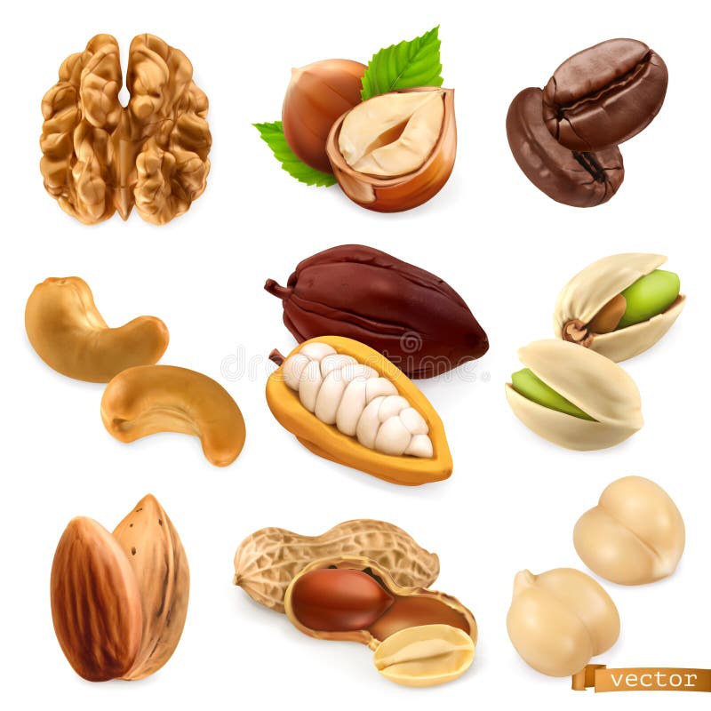 Nuci și fasole. nuc de nuc și cafea cu nucă de alune și caju. set vector cacao fistic almond și chickpea 3d stock illustration