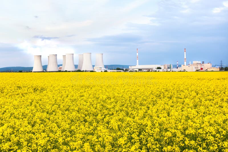Jadrová elektráreň s chladiacimi vežami za žltým repkovým poľom