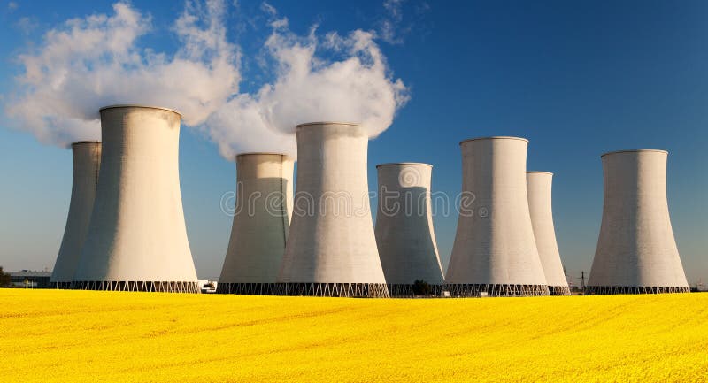 Nuclear power plant with field of rapeseed