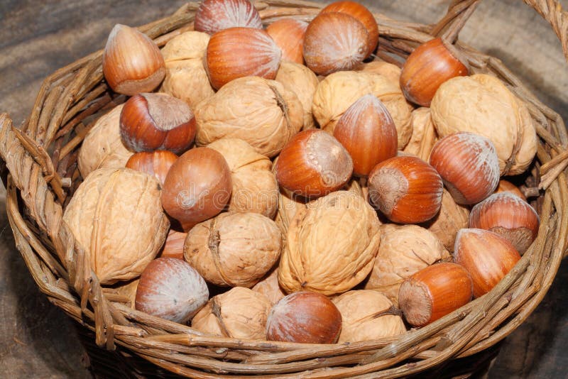Nueces, Avellanas, Nueces, Cesta Cosechada Foto de archivo Imagen de