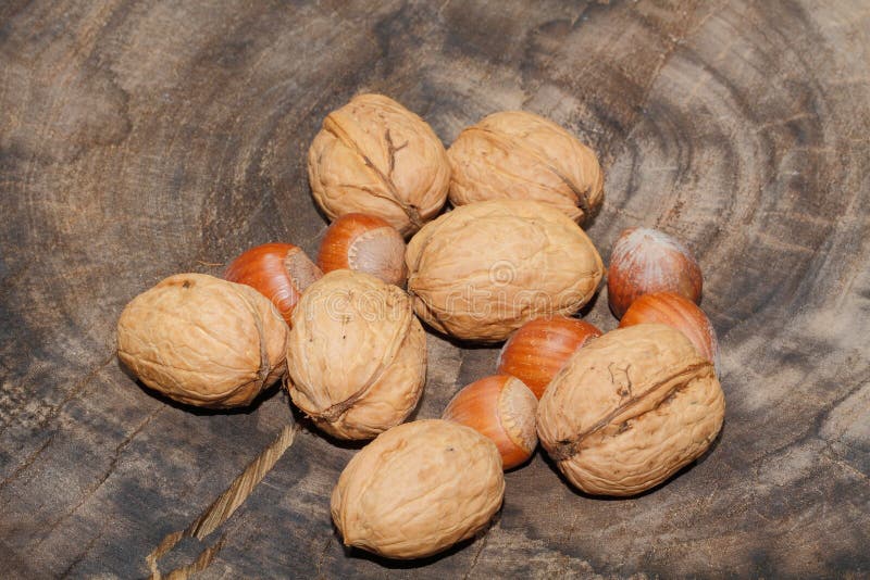 Nueces, Avellanas, Nueces, Cesta Cosechada Foto de archivo Imagen de