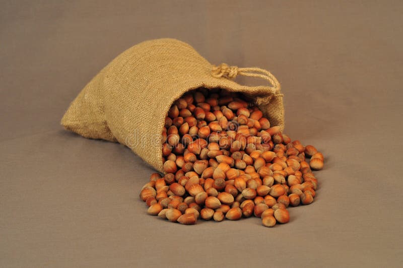 Nueces, bolso aislado en un fondo oscuro foto de archivo Nueces, bolso aislado en un fondo oscuro foto de archivo