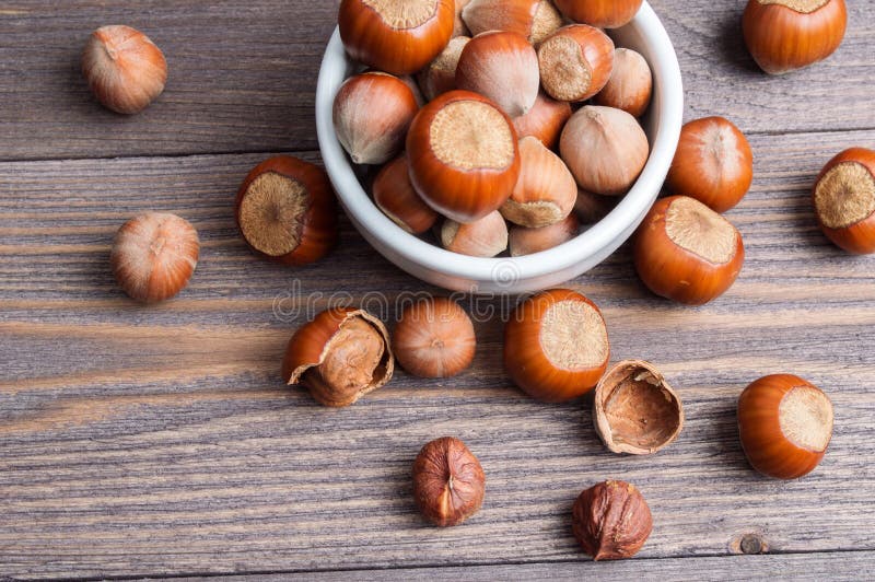 Nueces de la avellana en el cuenco blanco de la porcelana en fondo de madera foto de archivo Nueces de la avellana en el cuenco blanco de la porcelana en fondo de madera foto de archivo