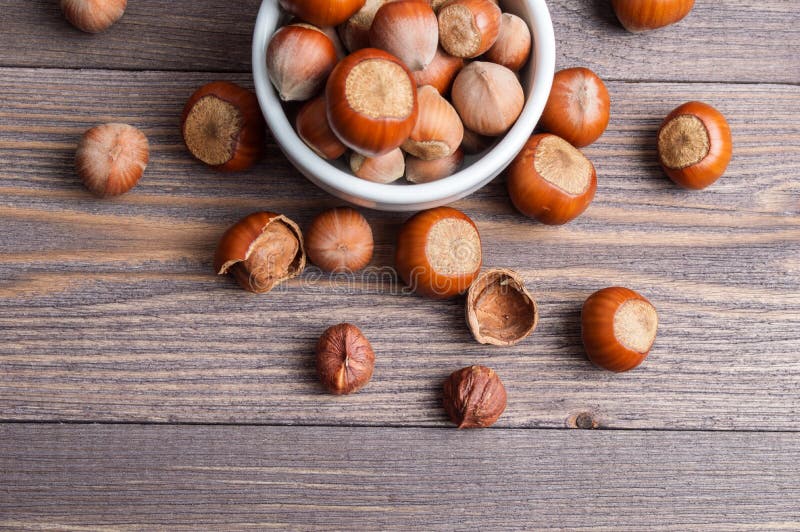 Nueces de la avellana en el cuenco blanco de la porcelana en fondo de madera foto de archivo Nueces de la avellana en el cuenco blanco de la porcelana en fondo de madera foto de archivo