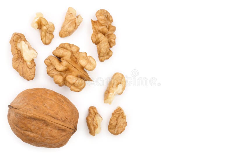 Nueces de Peelled aisladas en el fondo blanco con el espacio de la copia para su texto Visión superior Endecha plana stock de ilustración Nueces de Peelled aisladas en el fondo blanco con el espacio de la copia para su texto Visión superior Endecha plana stock de ilustración