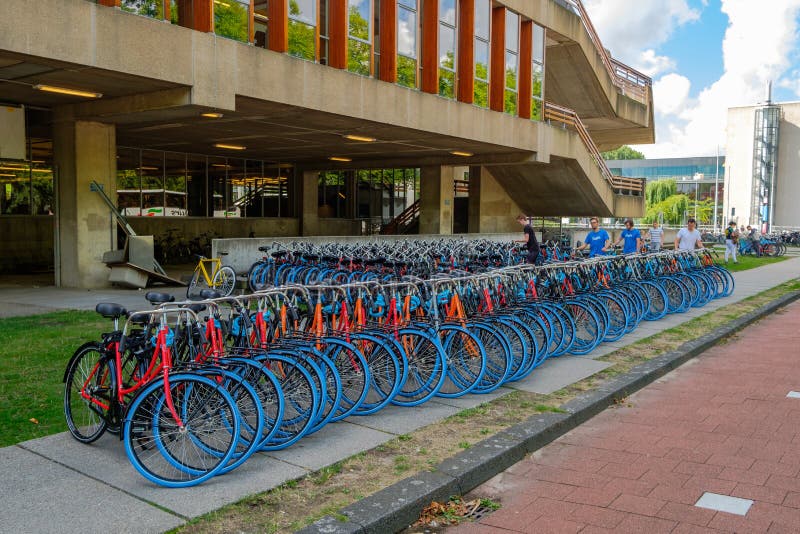 Nuevas bicicletas coloridas con los neumáticos azules para los nuevos estudiantes imágenes de archivo libres de regalías Nuevas bicicletas coloridas con los neumáticos azules para los nuevos estudiantes imágenes de archivo libres de regalías