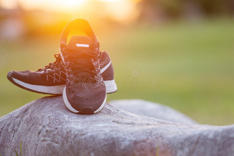 Close up new pairs of black running shoes / sneaker shoes on green grass field in the park at sunset time. Worm tone, sunlight and lens flare effect with space for text or design. Close up new pairs of black running shoes / sneaker shoes on green grass field in the park at sunset time. Worm tone, sunlight and lens flare effect with space for text or design