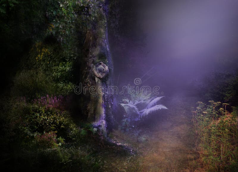 Nuit dans la forêt magique illustration stock