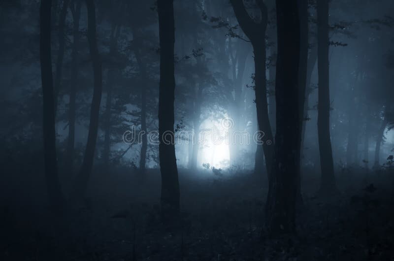 Nuit de Halloween dans une forêt mystique