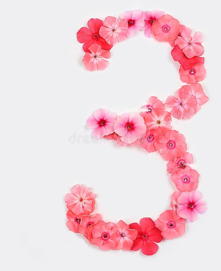 Number 3 made from real fresh flowers. Floral font concept, alphabet. Unique collection of letters and numbers for design. Spring