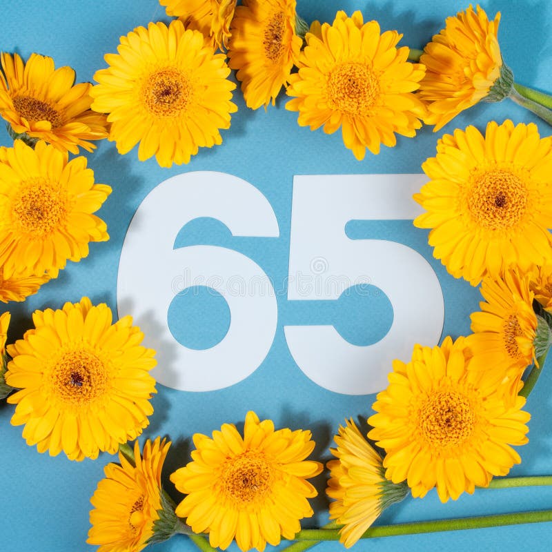 number-surrounded-yellow-gerbera-flowers-blue-background-creative-birthday-layout-flat-lay-top-view-close-up-229198439.jpg