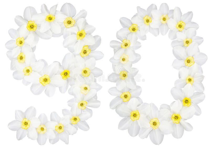 Numeral 90, ninety, from natural white flowers of Daffodil (narcissus), isolated on white background. Numeral 90, ninety, from natural white flowers of Daffodil (narcissus), isolated on white background