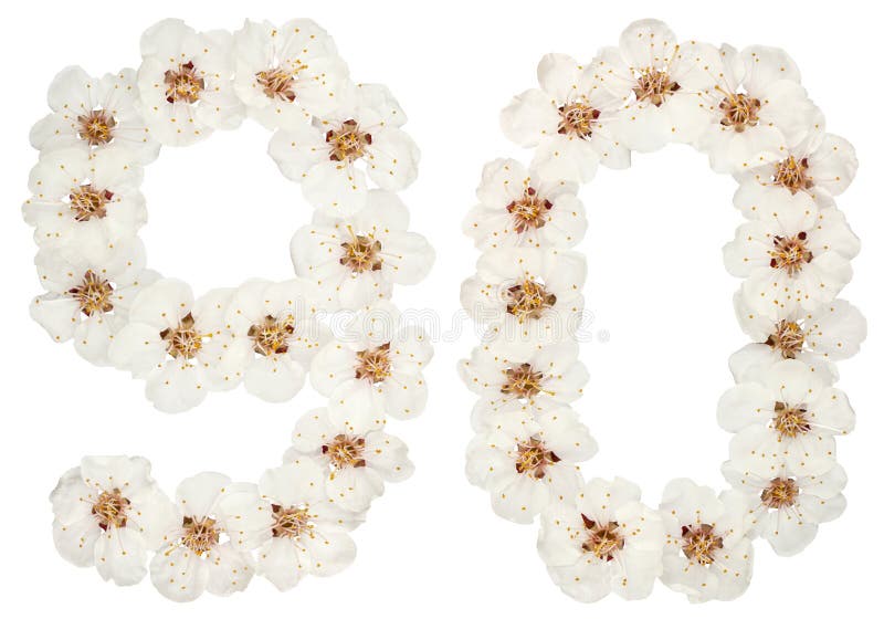 Numeral 90, ninety, from natural white flowers of apricot tree, isolated on white background. Numeral 90, ninety, from natural white flowers of apricot tree, isolated on white background